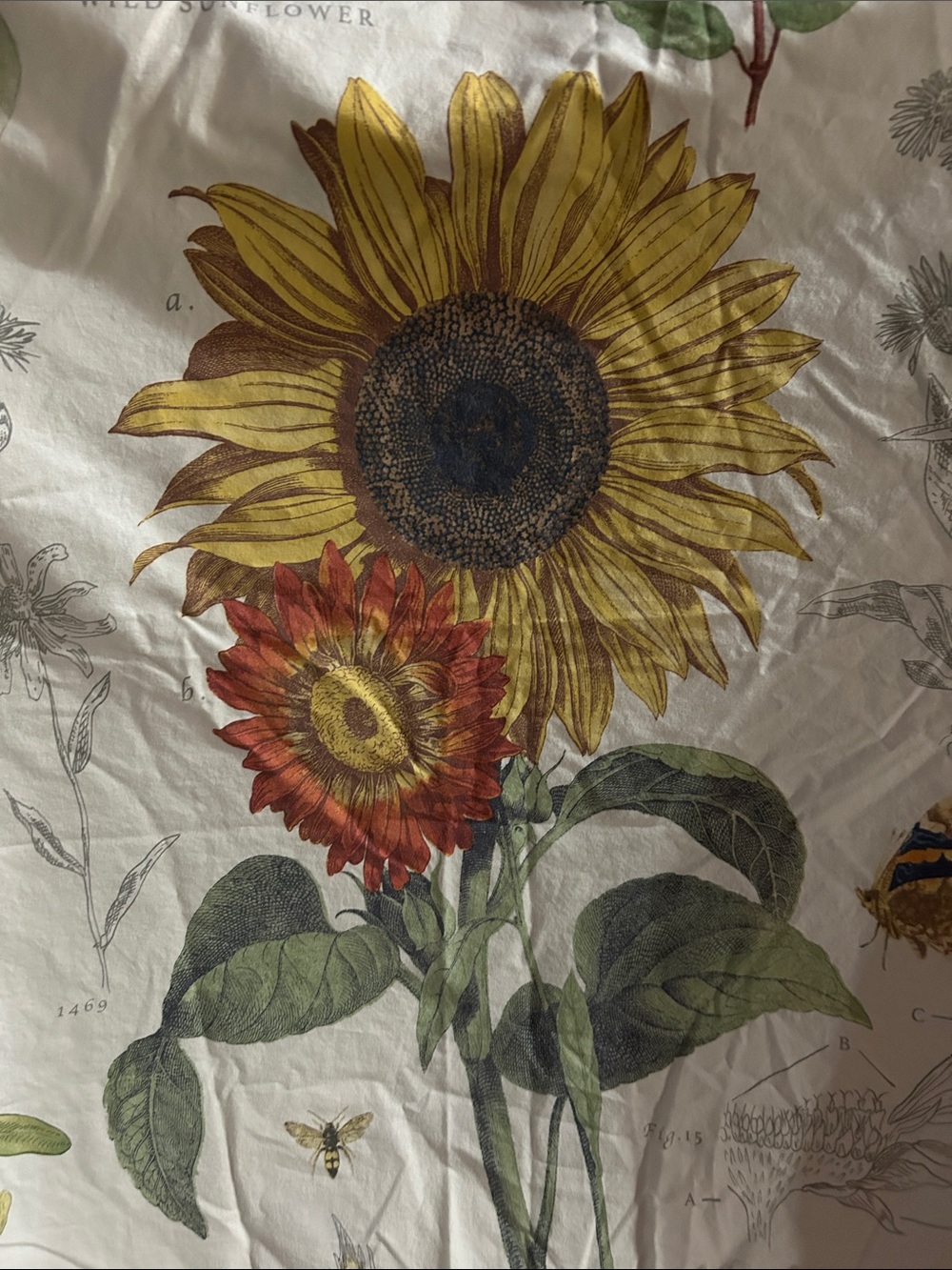 Pottery Barn Cream Sunflower & Wildflower Duvet Cover - Picture 2 of 7